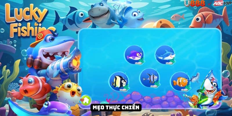 Bí quyết Lucky Fishing U888
